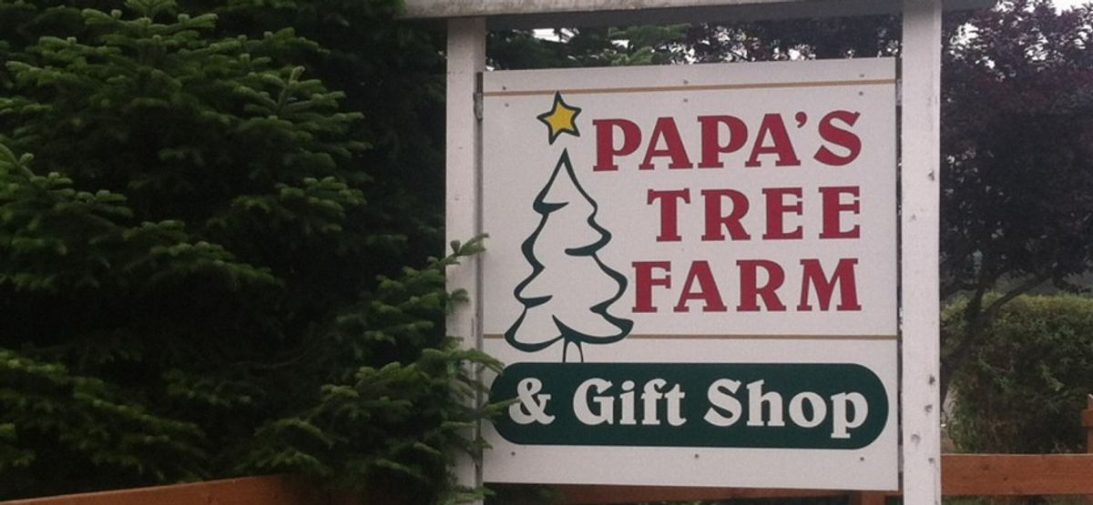 Papa's Tree Farm & Gift Shop 26429 SE 200th Street Christmas Trees
