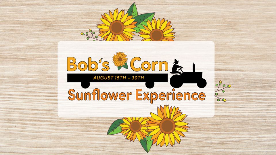 Bob's Corn Sunflower Experience at Bob's Corn and Pumpkin Farm in
