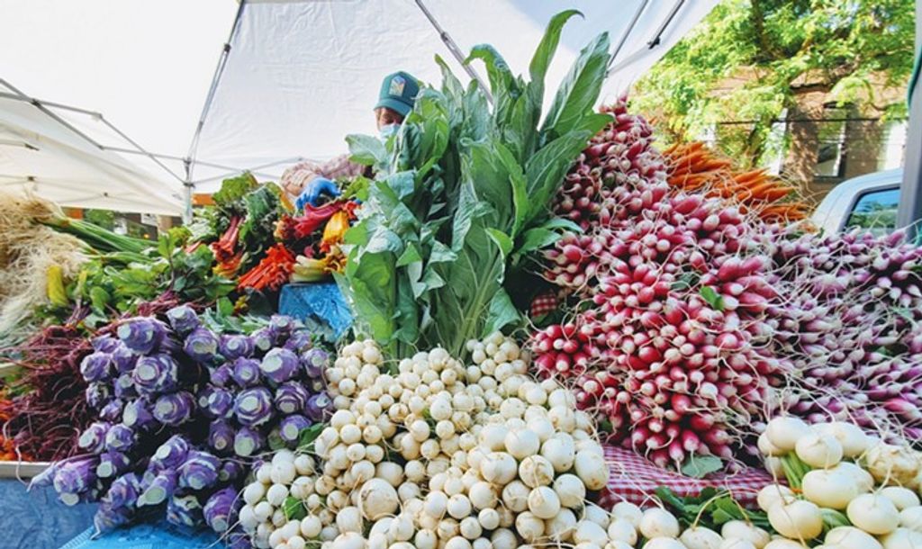 Farmers Market Find: Green Garlic - West of the Loop