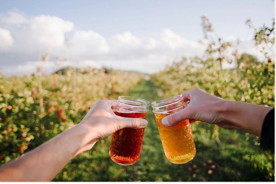 "Taste the Love" Cider Cocktail and Appetizer Pairing at Finnriver Farm