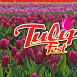 38th Annual Wooden Shoe Tulip Festival: Wooden Shoe Tulip Farm