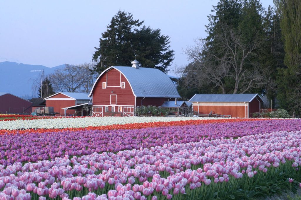 Your Guide to April 2022 Events in Seattle EverOut Seattle