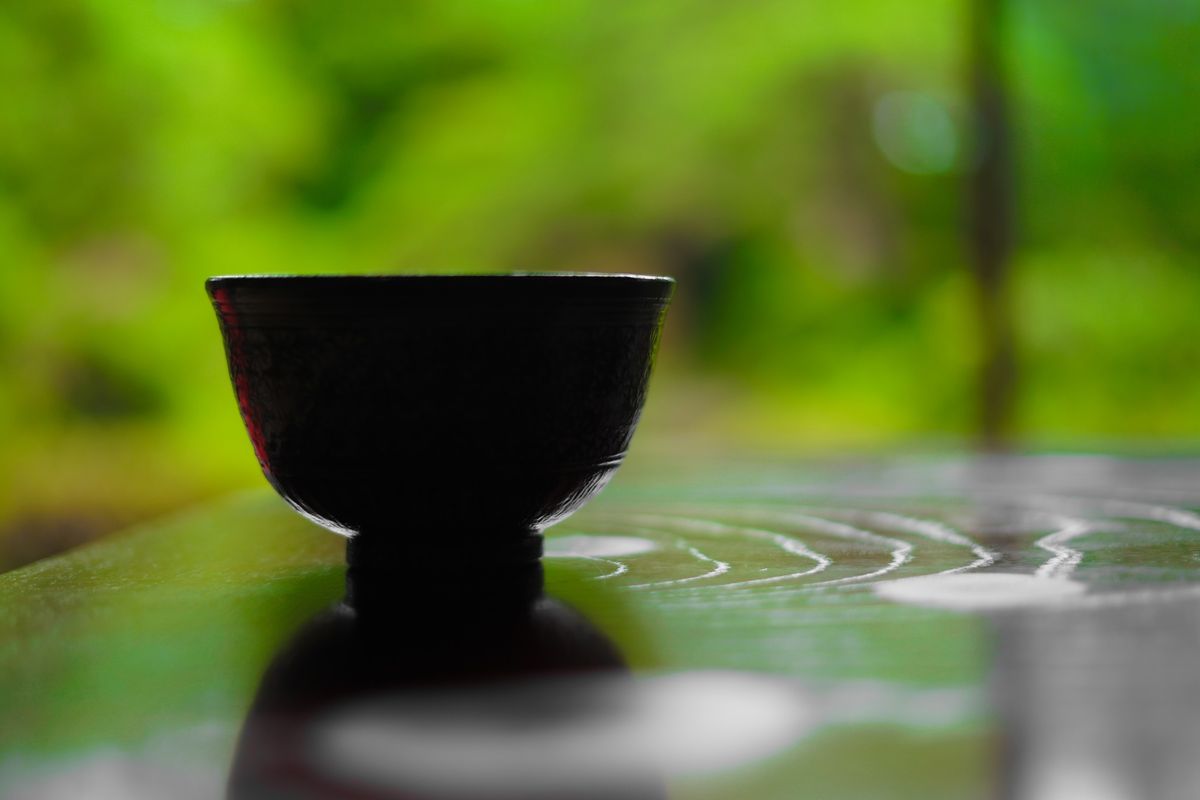 Tankokai 50th Anniversary Celebration: The Way of Tea at Seattle Asian ...
