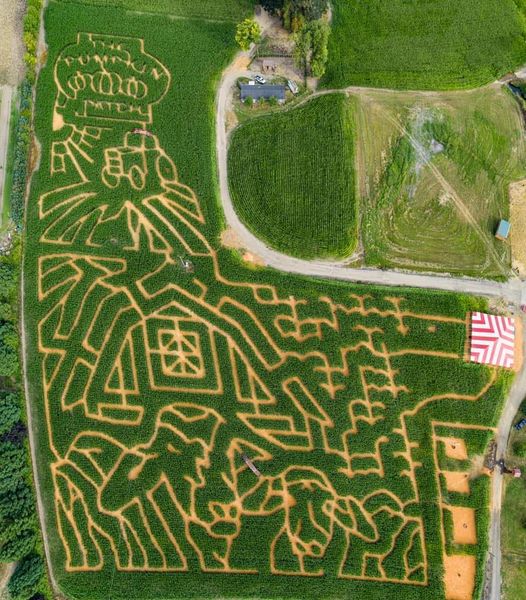 The MAiZE at the Pumpkin Patch at The Pumpkin Patch in Portland, OR