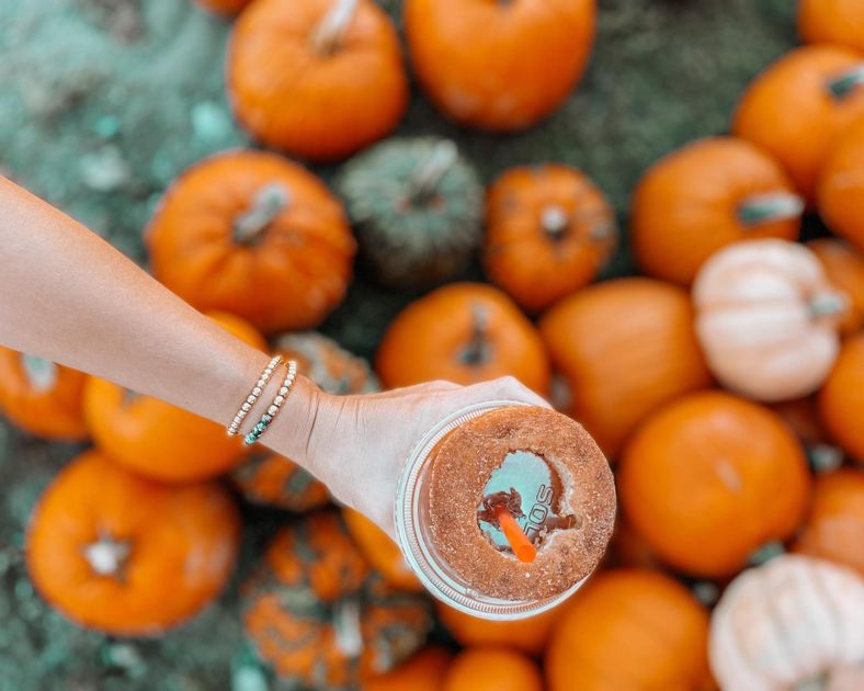 DIY Pumpkin Cheese Grater - Creating Through Chaos