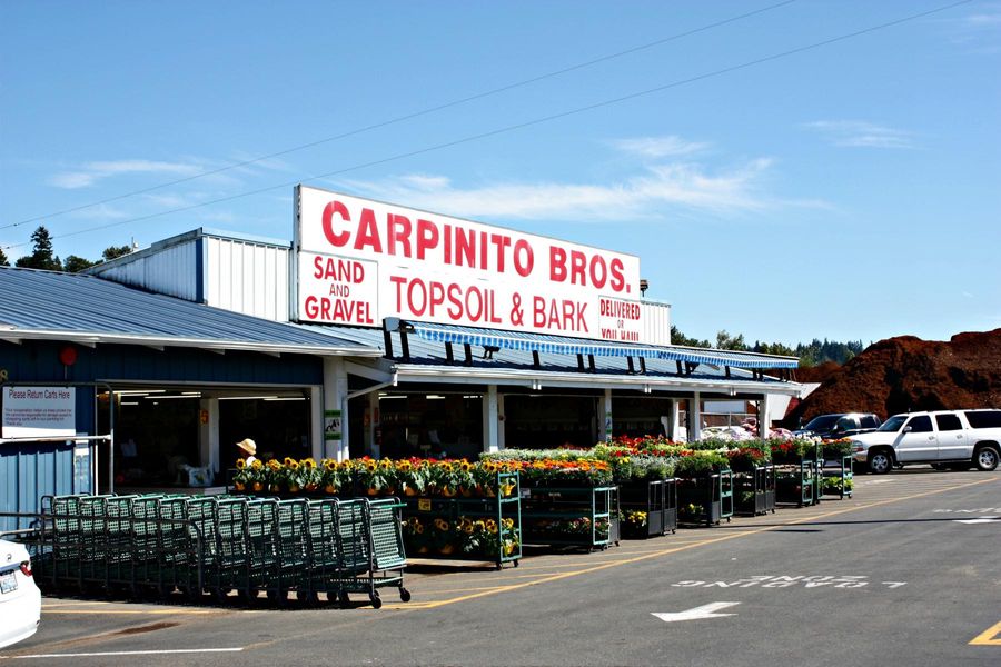 Halloween Party + Winter Drive at Carpinito Brothers in Kent, WA