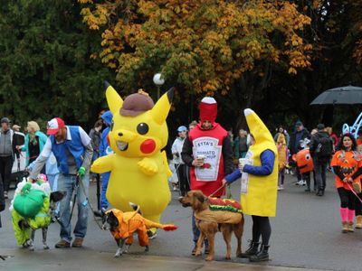 Pok&eacute;-pets and hot dogs have been spotted at the <a href="https://everout.com/seattle/events/halloween-pet-parade-and-costume-contest/e130121/">Halloween Pet Parade and Costume Contest</a> in previous years.