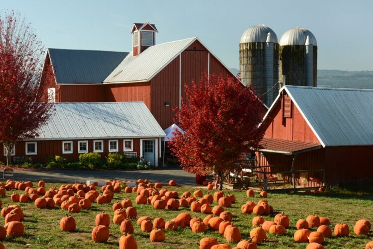 Oregon Heritage Farms Fall Activities at Oregon Heritage Farms in ...