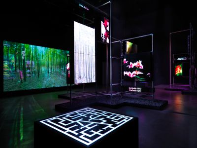 Hito Steyerl: This is the Future