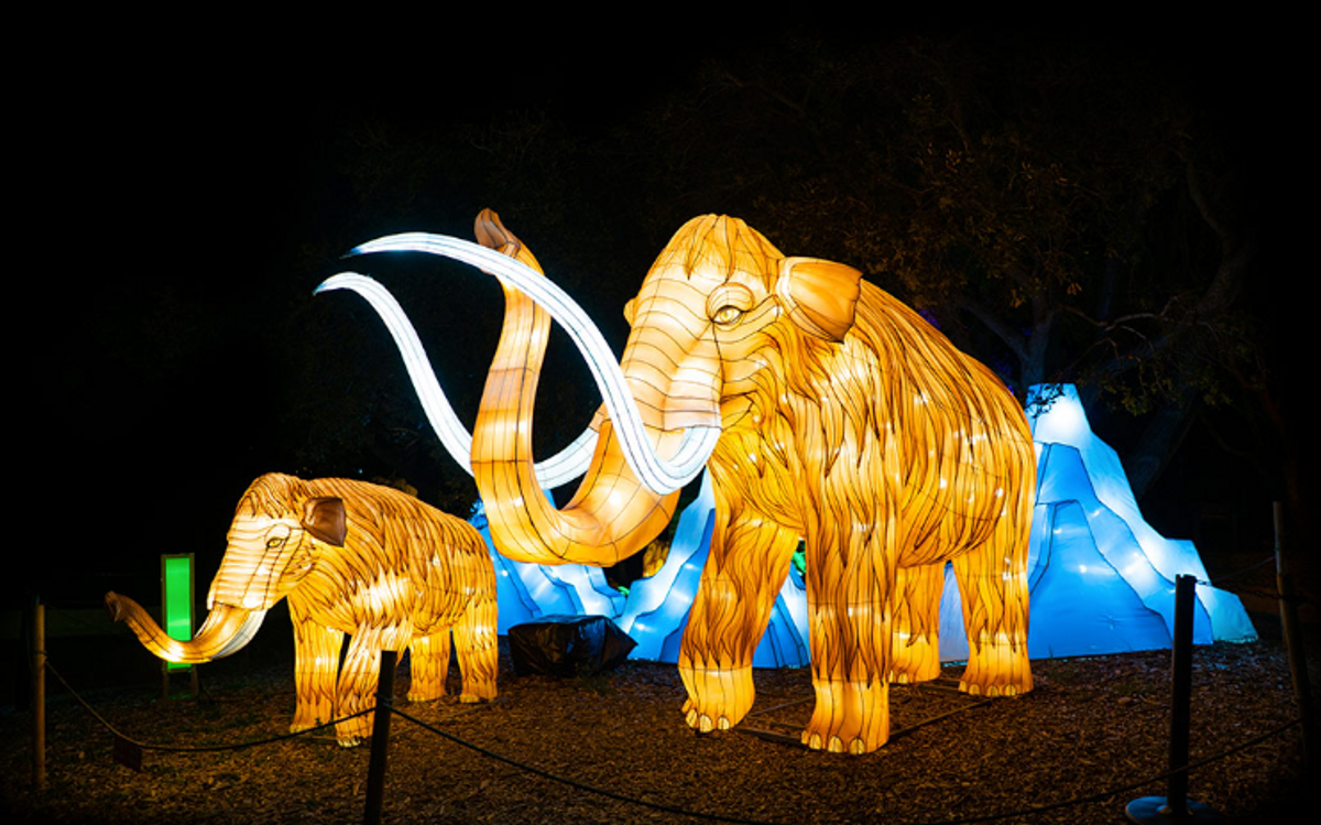 WildLanterns 2022 At Woodland Park Zoo In Seattle, WA - Multiple Dates ...