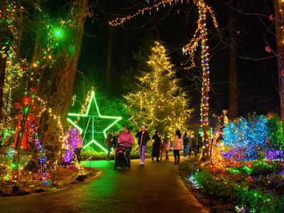 Christmas Festival of Lights 2022