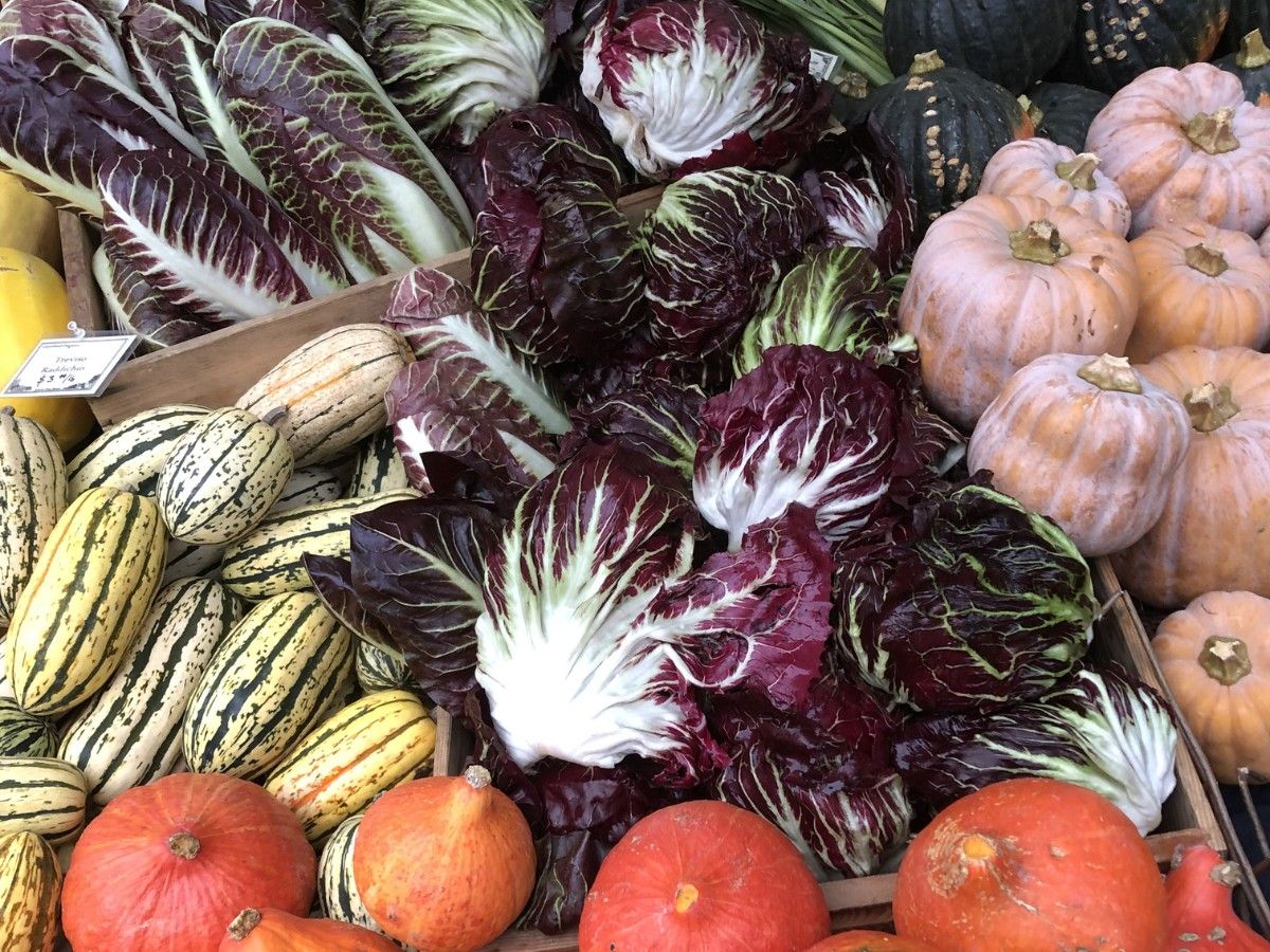 2022 Harvest Festival at Portland Farmers Market at Shemanski Park in ...