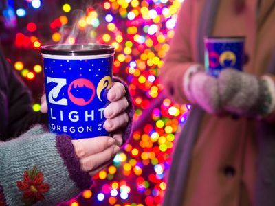 Stroll through the zoo to see the dazzling displays of <a href="https://everout.com/portland/events/brewlights/e129409/">BrewLights</a> and <a href="https://everout.com/portland/events/zoolights/e129397/">ZooLights</a>.