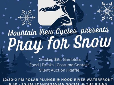 Pray For Snow Party