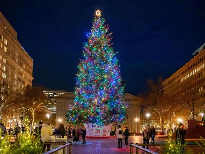 Grab a cup of cheer and head to the <a href="https://everout.com/portland/events/38th-annual-tree-lighting-ceremony/e131703/">38th Annual Tree Lighting Ceremony</a> at Pioneer Courthouse Square.