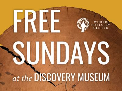 Free Sundays at World Forestry Center's Discovery Museum