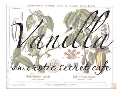 Vanilla: A Pop-Up Erotic Café