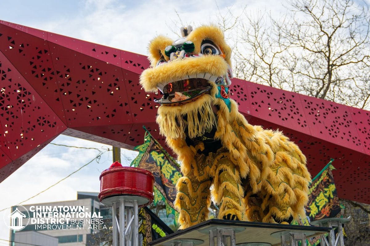 Hong Kong Lunar New Year: City lights up for Year of the Rabbit - The  Washington Post