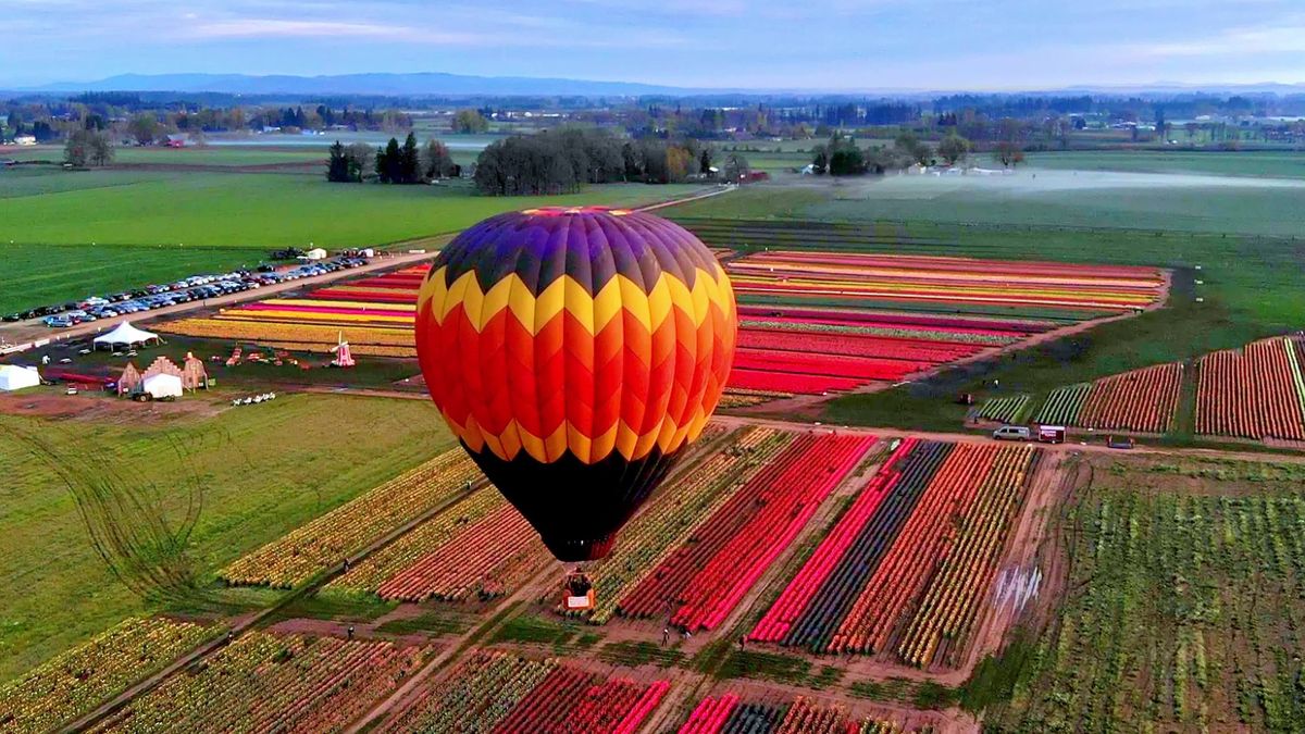Wooden Shoe Tulip Festival  The Official Guide to Portland