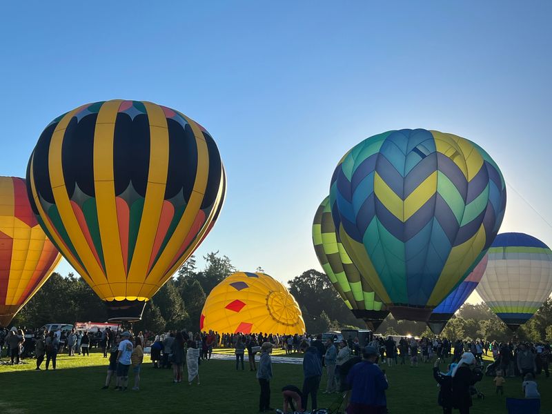 Tigard Festival of Balloons 2023 at Cook Park in Tigard, OR Every day