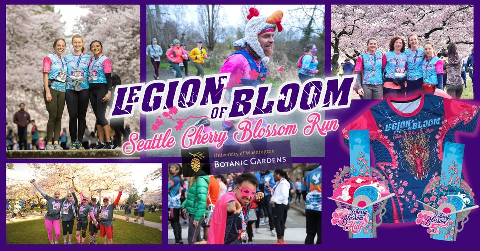 Seattle Cherry Blossom Run at University of Washington in Seattle, WA 