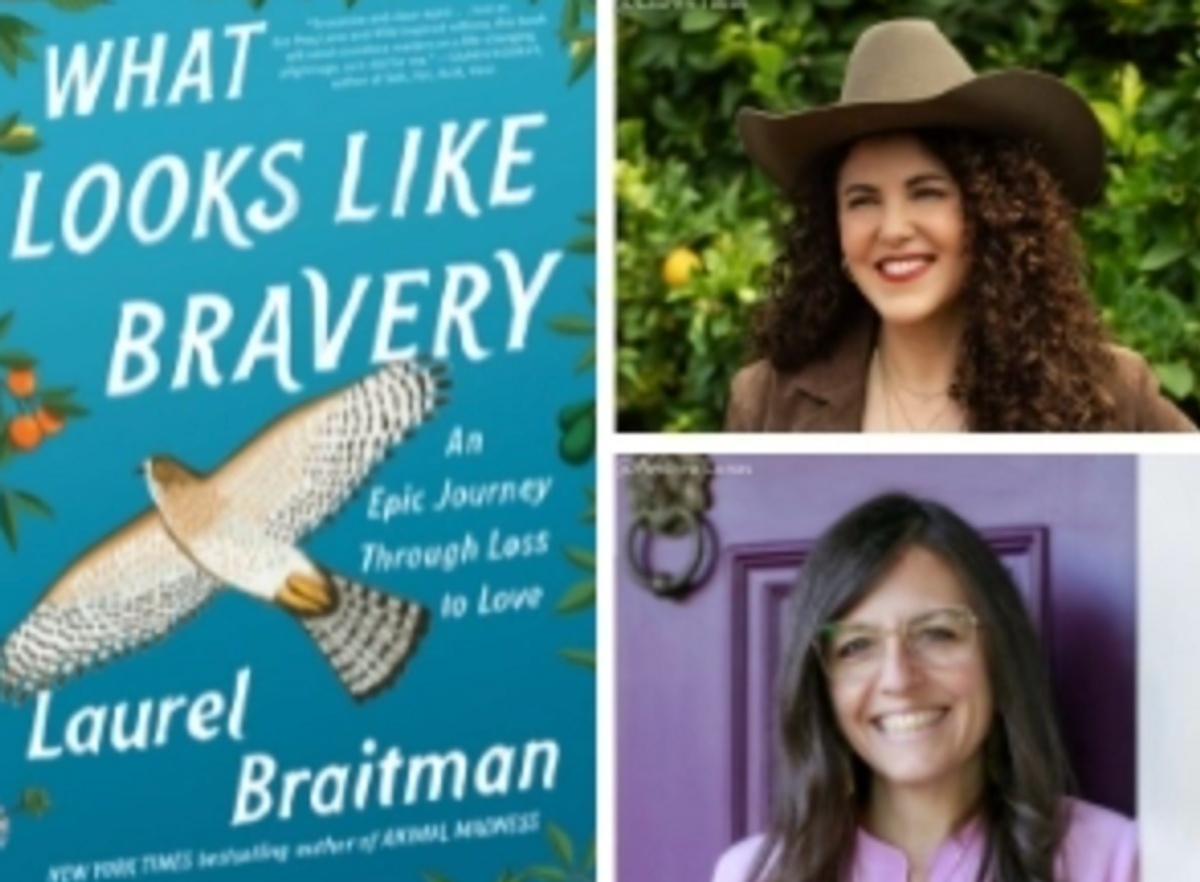 What Looks Like Bravery, Book by Laurel Braitman