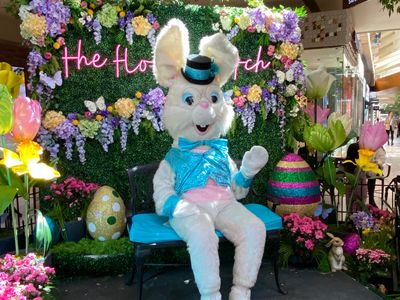 Easter Bunny Photos