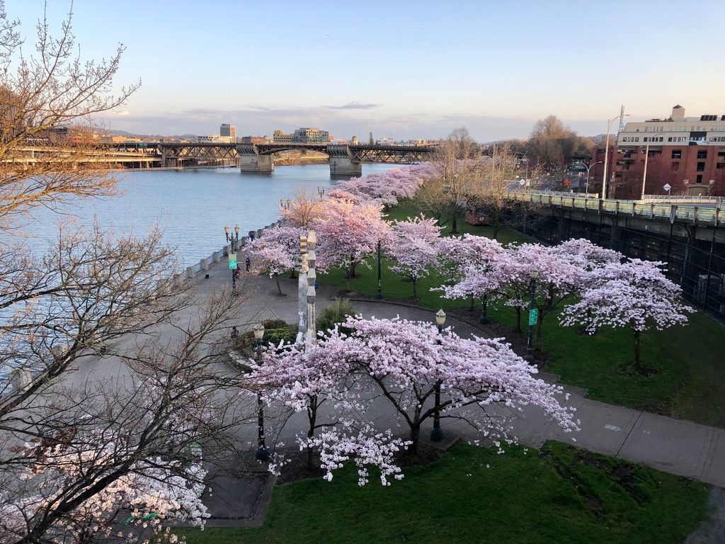 the-best-bang-for-your-buck-events-in-portland-this-weekend-mar-31-apr