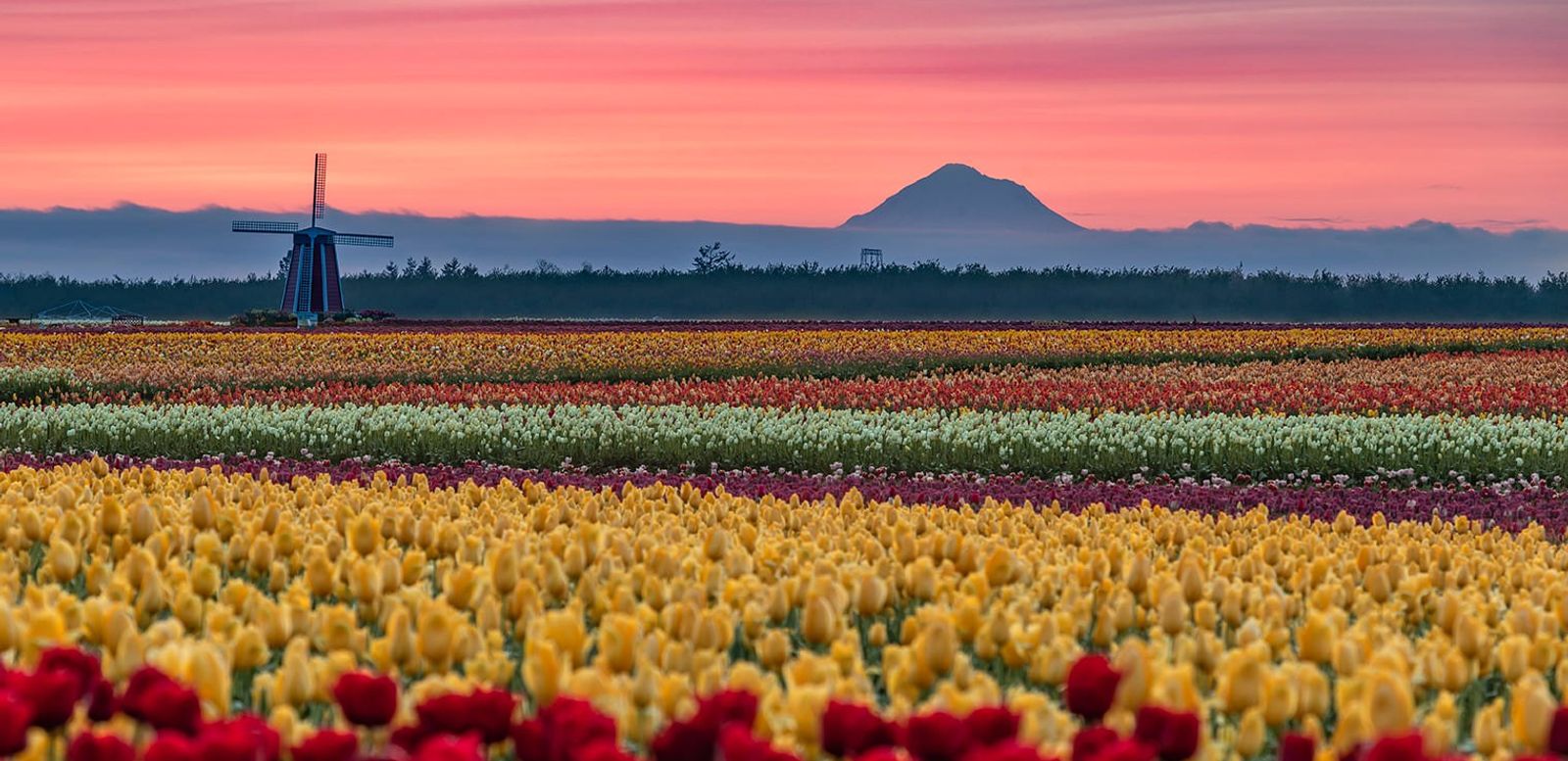 Portland April Events Guide - EverOut