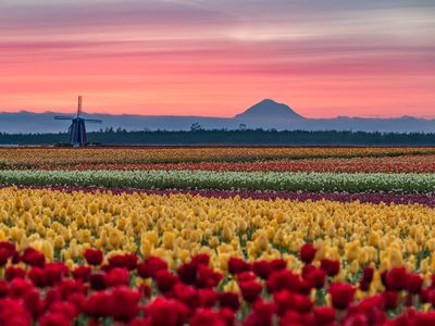 After the long, cold winter, the best way to shock you out of seasonal depression is to stick your face in a ton of fresh flowers. The best place to do that is at the <a href=https://everout.com/portland/articles/