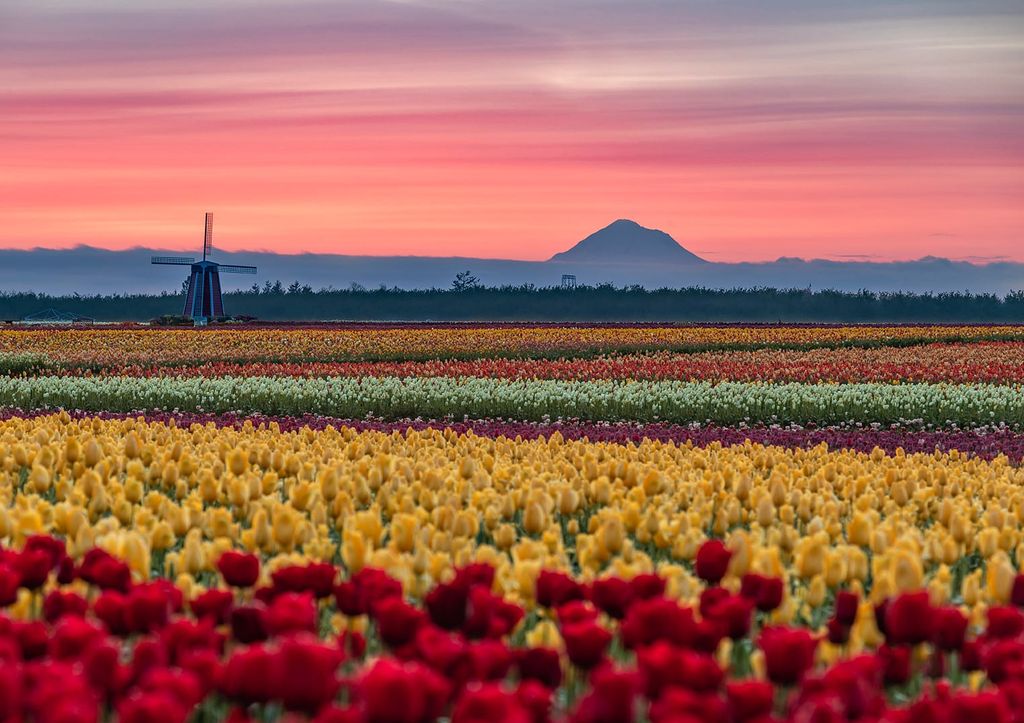 The Biggest April 2023 Events to Know About in Portland - EverOut Portland