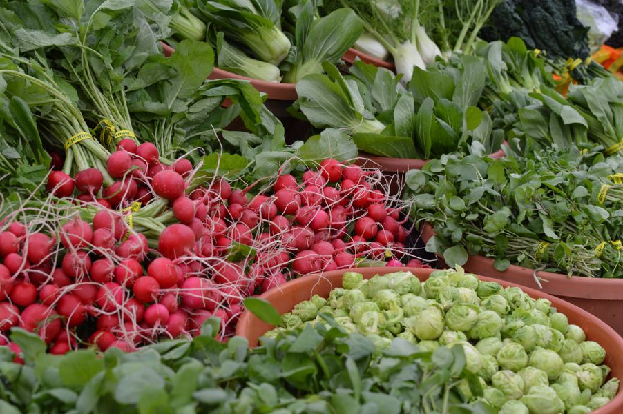 Radishes - Prescott Farmers Market