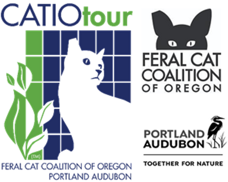 portland catio tour 2023