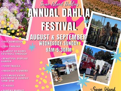 Dahlia Festival