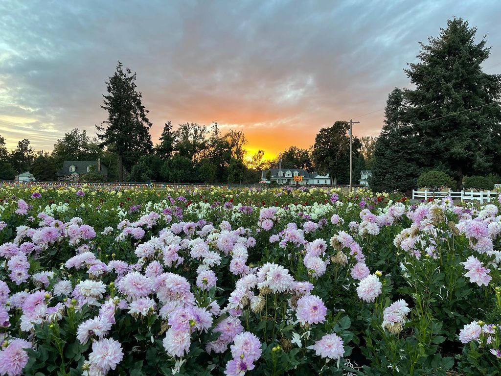 The Best Bang for Your Buck Events in Portland This Weekend: August 4–6 ...