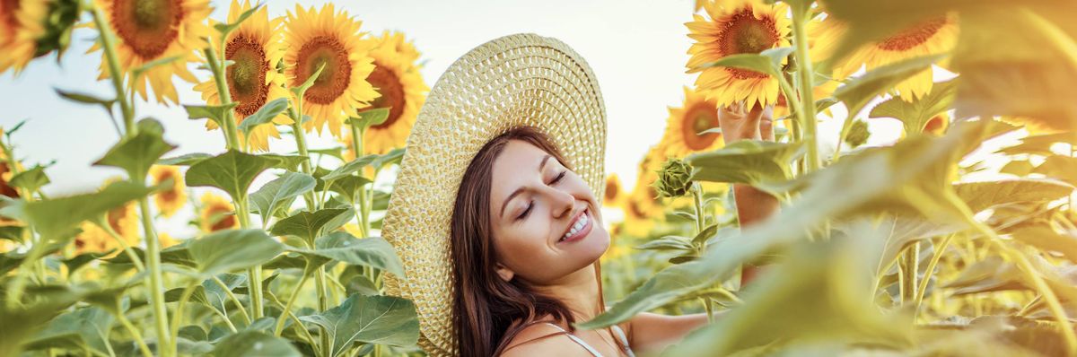 2023 Sunflower Festival at Mountainview Blueberry Farm in Snohomish, WA ...