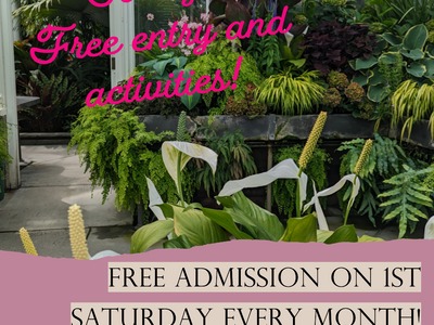 Free Conservatory Admission