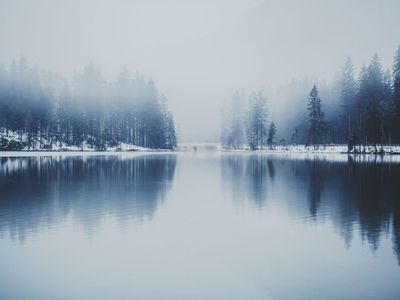 OMSI After Dark: Forest & Flannel: Winter Wonderland