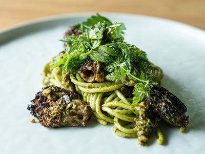 Morchella x Veganizer: Mushroom Dinner