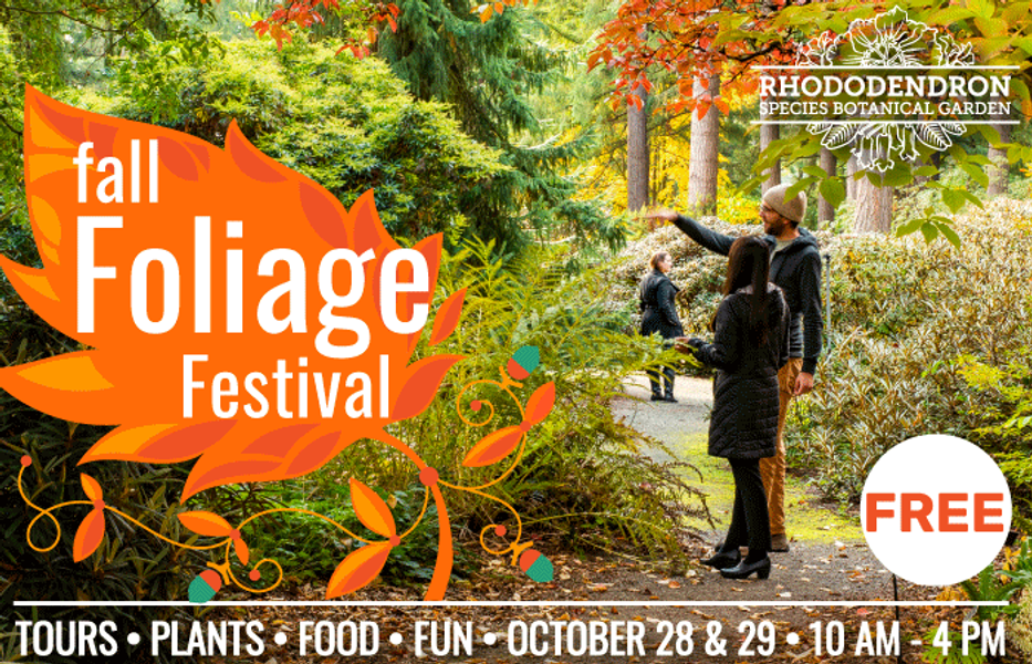 Fall Foliage Festival at Rhododendron Species Botanical Garden in