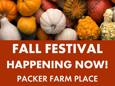 Packer Orchards Fall Festival
