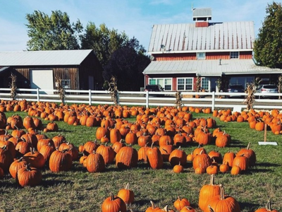 Roloff Farms Pumpkin Festival 2023﻿