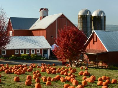 Oregon Heritage Farms Fall Season