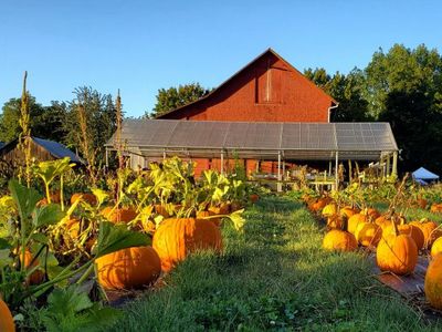 Fall at the Farm