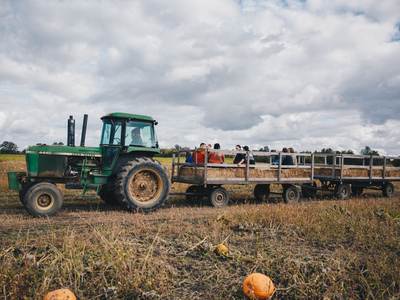 Fall Harvest Celebration at Topaz Farm