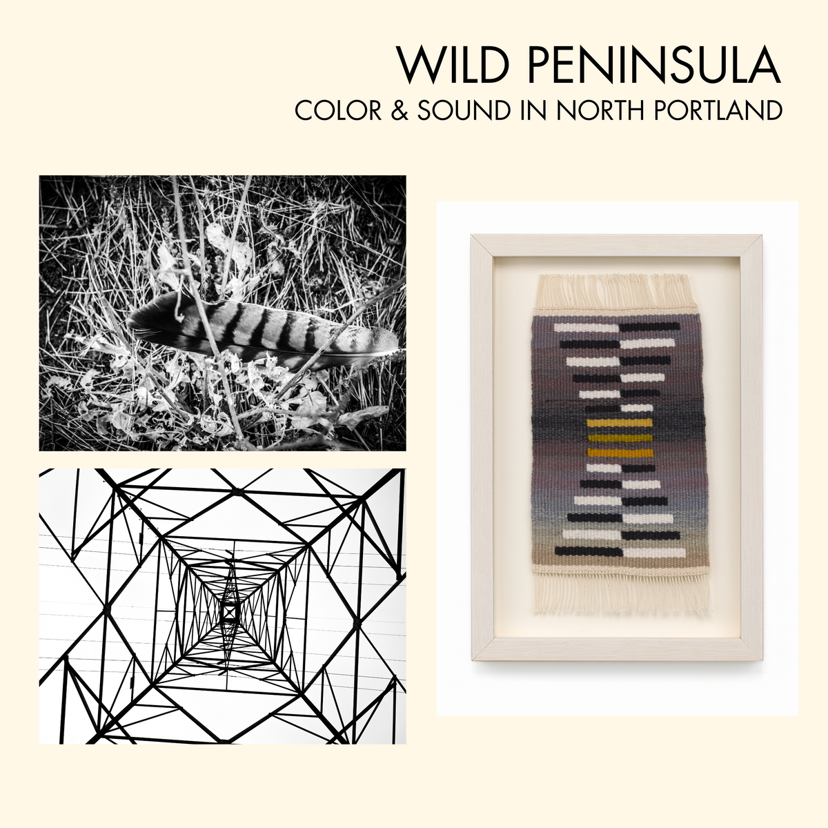 Wild Peninsula: Color and Sound in North Portland at Carnation ...