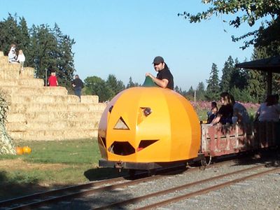 Pumpkin Run 2023