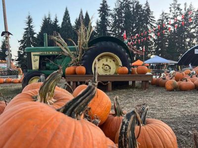 Fall Harvest Festival at Lee Farms