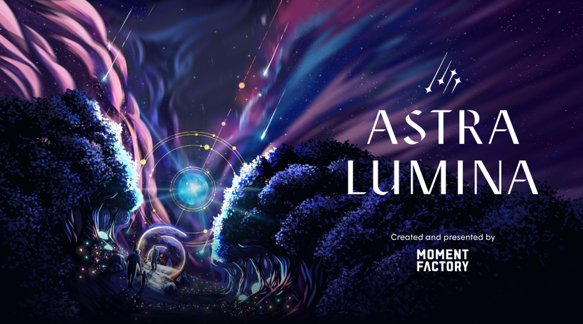Astra Lumina An Enchanted Night Walk Amongst The Stars at Seattle