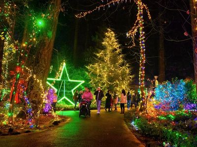 Christmas Festival of Lights 2023